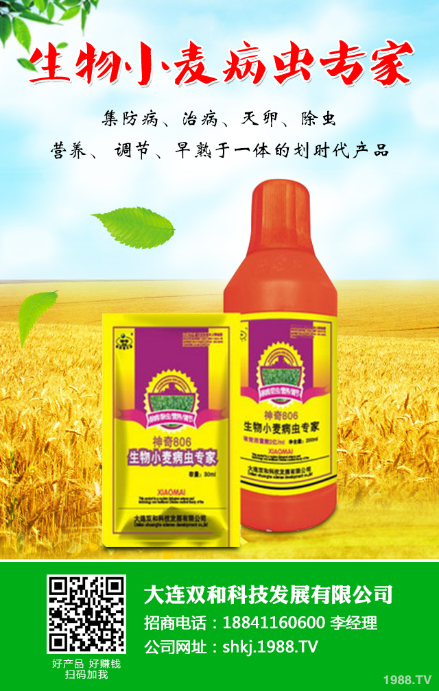 小麥病蟲(chóng)害危害大！小麥苗期的病害和蟲(chóng)害介紹