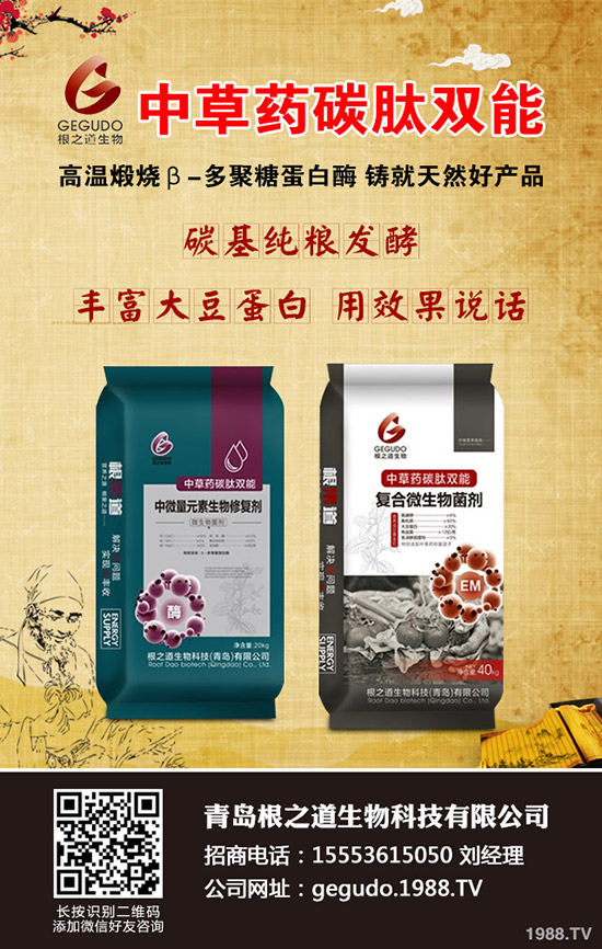     柑橘十月有什么管理注意事項？怎樣管理？柑橘10月管理指導(dǎo)建議！