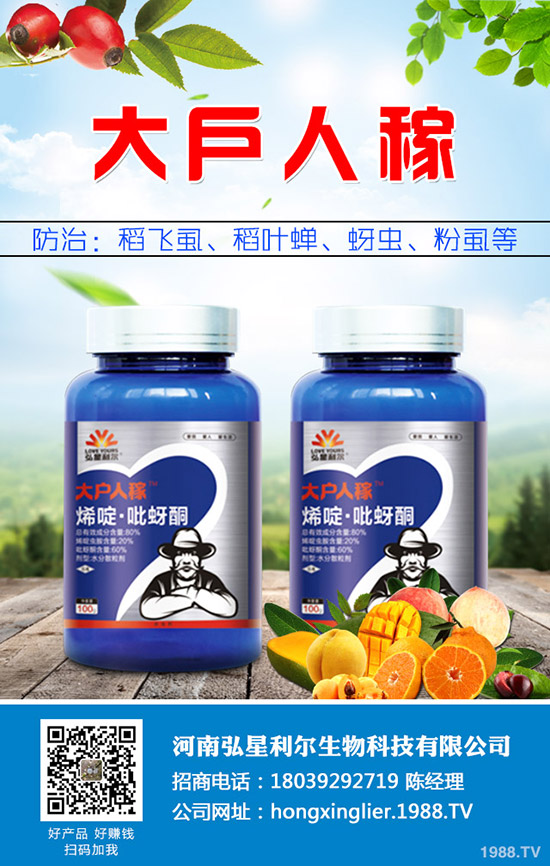 ���[�Nֲ��Ҫ��ô���������[�Nֲ�������g(sh��)Ҫ�c(di��n)��