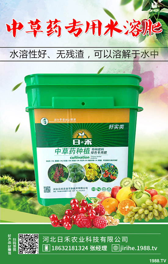 洋蔥種植想高產(chǎn)，種植方法很重要！洋蔥種植技術(shù)要點(diǎn)