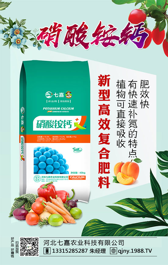 青蒜怎么種植？青蒜種植技巧要點！