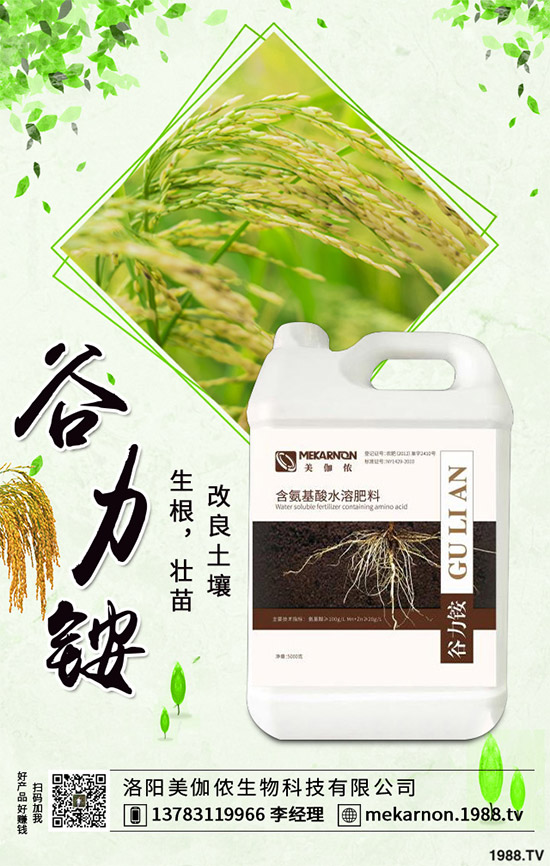 茼蒿該怎么播種？茼蒿高產(chǎn)種植管理方案