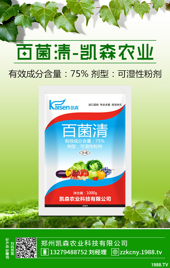 板栗樹種植后怎么管理？板栗種植的管理技術(shù)！