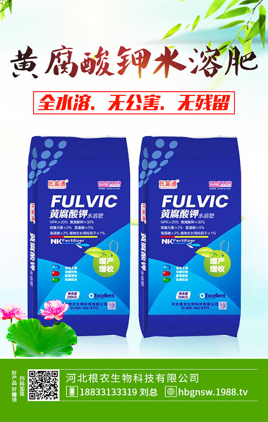 茼蒿該怎么吃？茼蒿的營(yíng)養(yǎng)吃法及注意事項(xiàng)