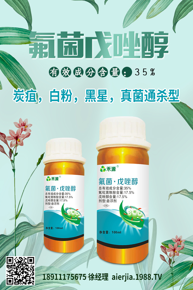 芹菜黑心腐爛怎么防治？芹菜黑心腐爛要對癥防治