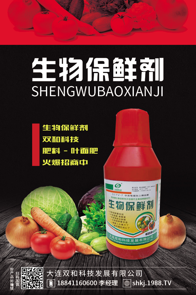 番茄病害怎么防治效果好？秋季大棚番茄病害防治要點(diǎn)