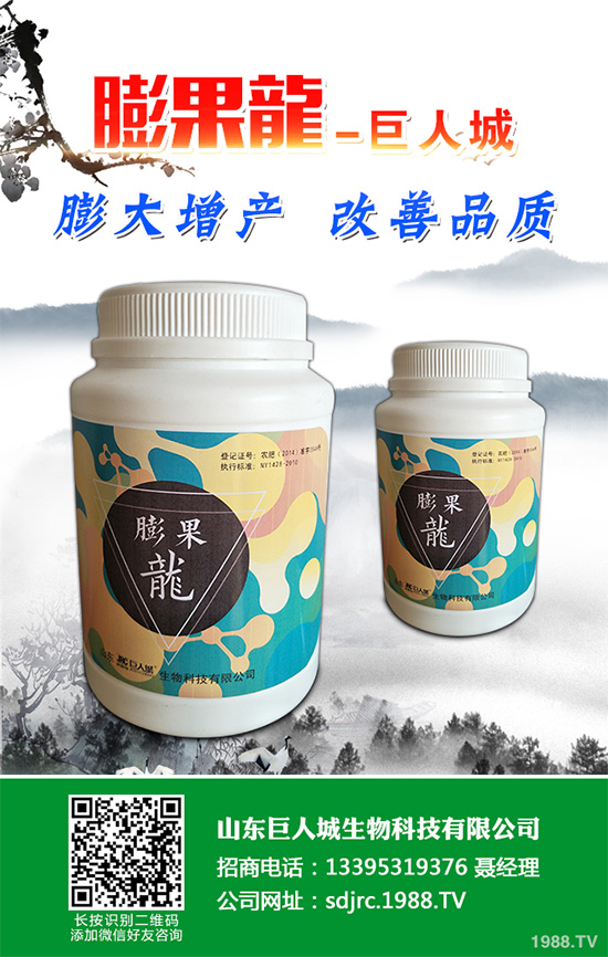 萵苣該如何施肥？萵苣的高產(chǎn)施肥技術(shù)有哪些？這些方法很重要！
