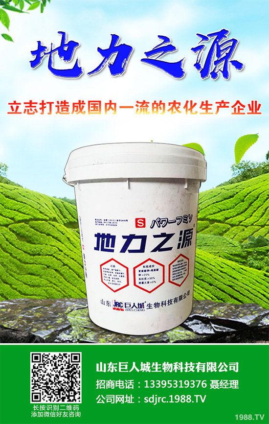 萵苣該如何施肥？萵苣的高產(chǎn)施肥技術(shù)有哪些？這些方法很重要！