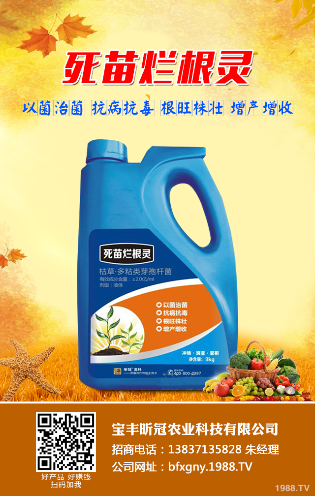 小麥死苗應該如何防治?小麥死苗的原因