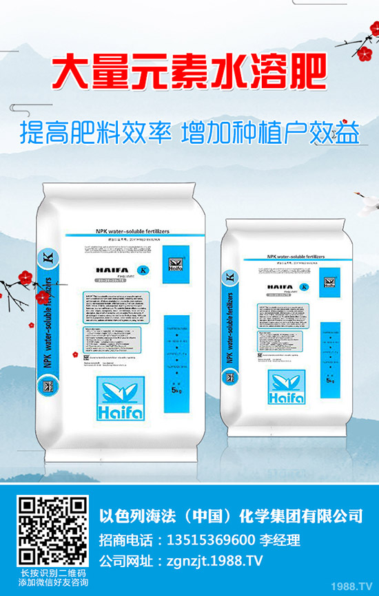 2019年9月底國(guó)內(nèi)二銨市場(chǎng)價(jià)格行情走勢(shì)分析綜合評(píng)述