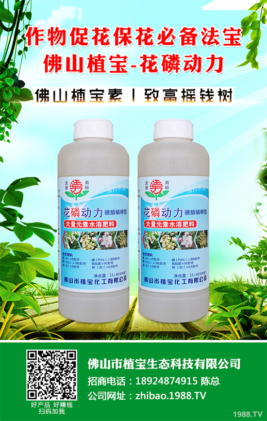 茼蒿葉斑病危害這么大，到底該如何防治？茼蒿葉斑病防治措施
