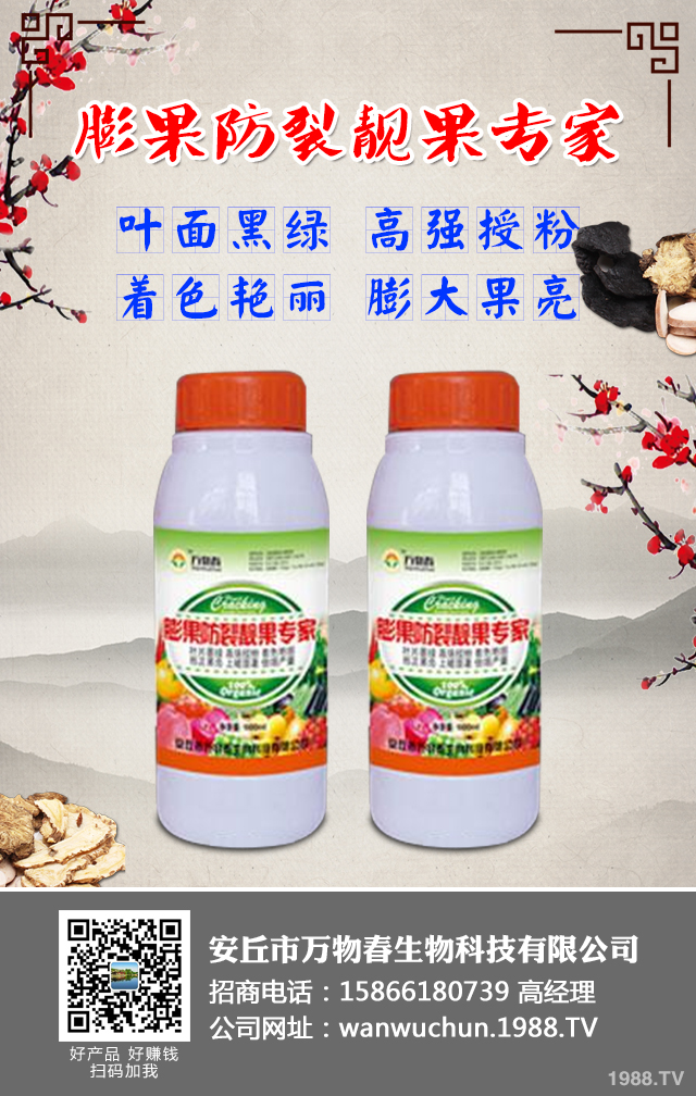 如何預防草莓畸形？草莓畸形防治技巧