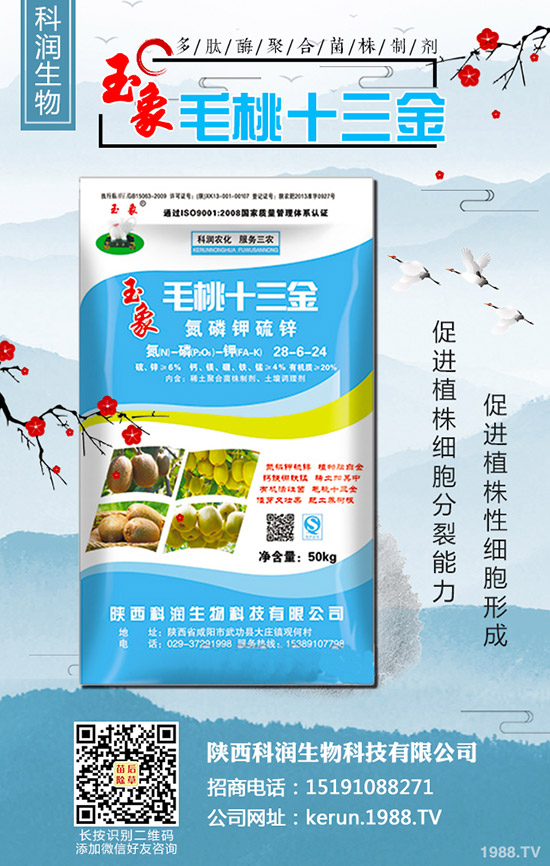     大蔥秋季什么時間種植合適？大蔥秋季種植時間及種植技術(shù)！