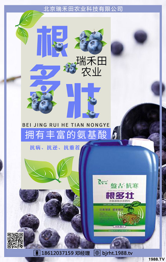 西紅柿什么時間種植，西紅柿種植技巧