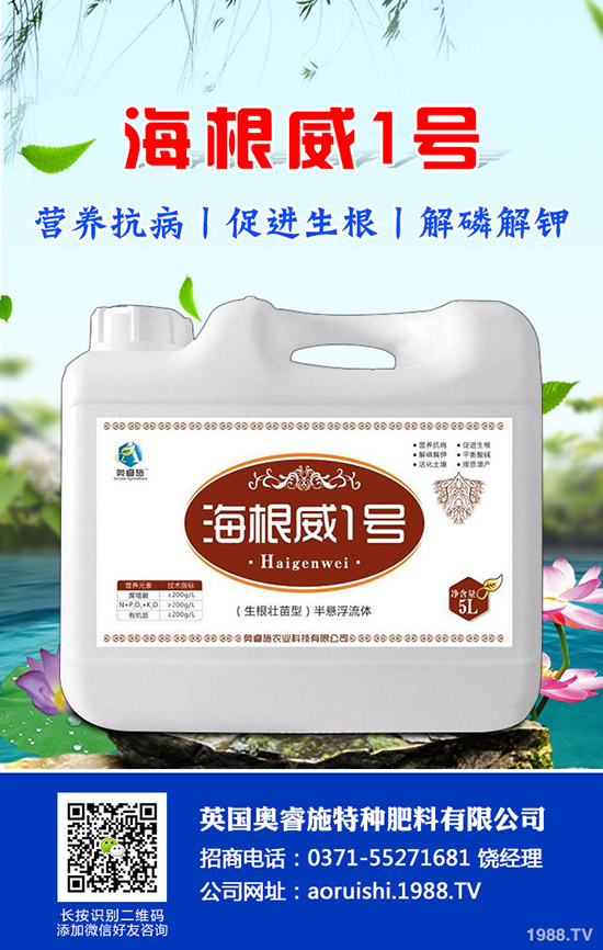 吃芋頭有哪些好處，芋頭的營養(yǎng)價值及食用禁忌！