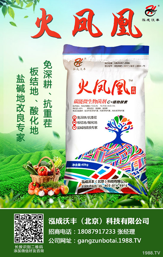     今日國(guó)內(nèi)一銨市場(chǎng)價(jià)格行情分析早訊2019年9月7日