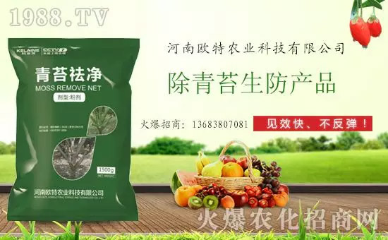 神奇除青苔劑！，不反彈！干凈，青苔無蹤！