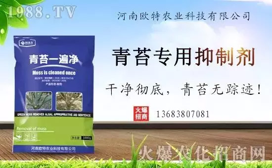 神奇除青苔劑！，不反彈！干凈，青苔無蹤！