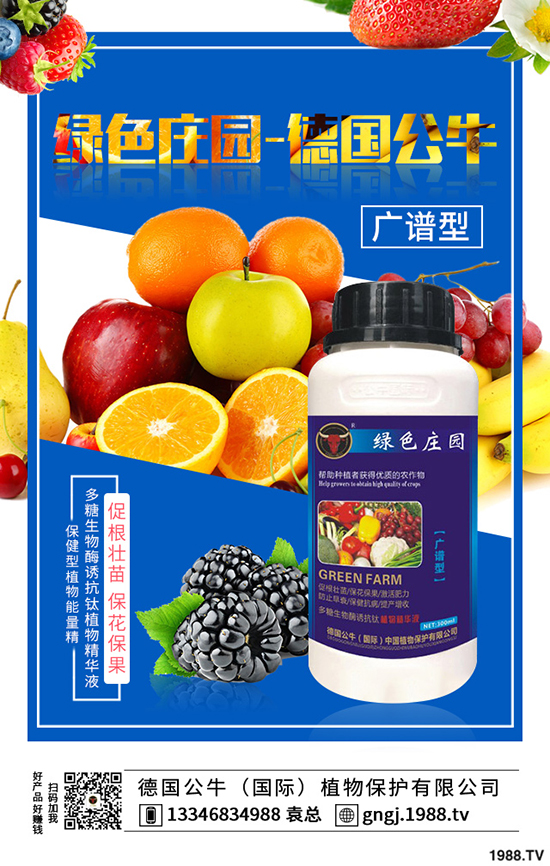 如何種植紫薯更高產(chǎn)，紫薯的種植方法與前景！