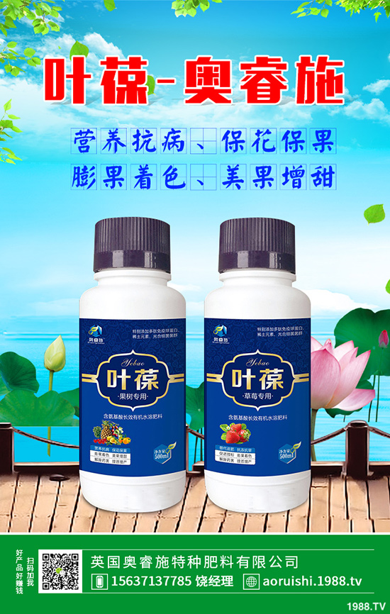 胡蘿卜什么時候育苗,胡蘿卜育苗方法有哪些?