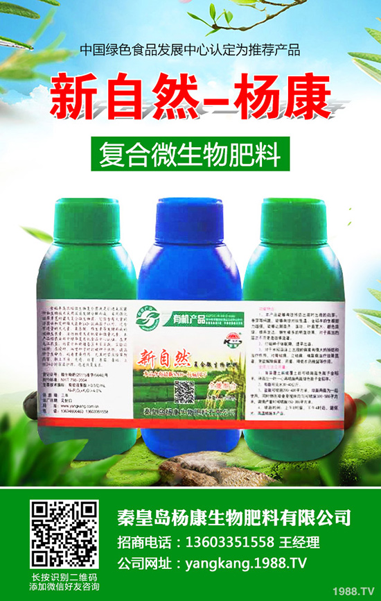 拐棗如何種植，拐棗種植技術及種植前景！