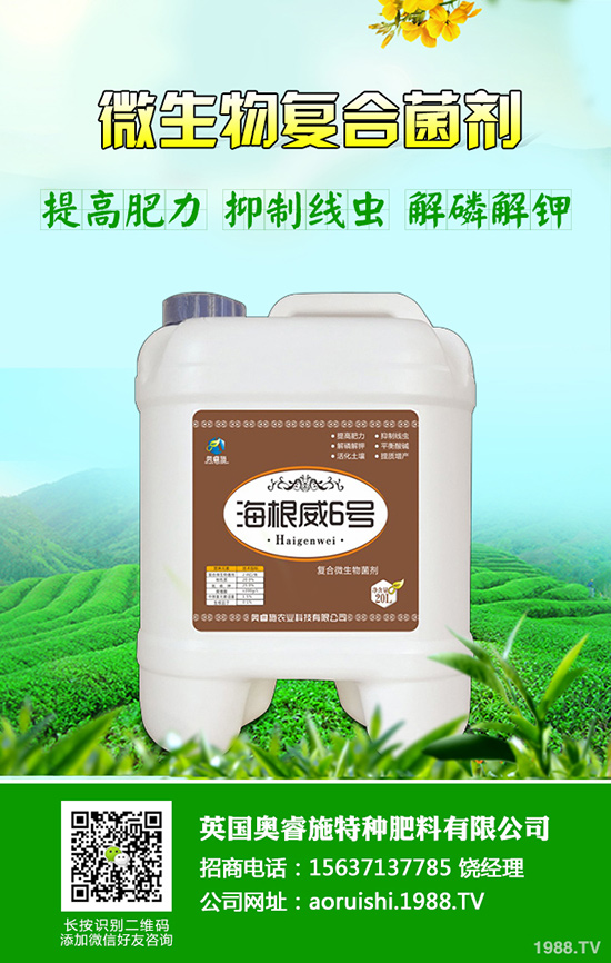 柚子種植技術(shù)！柚子栽種要注意些什么？