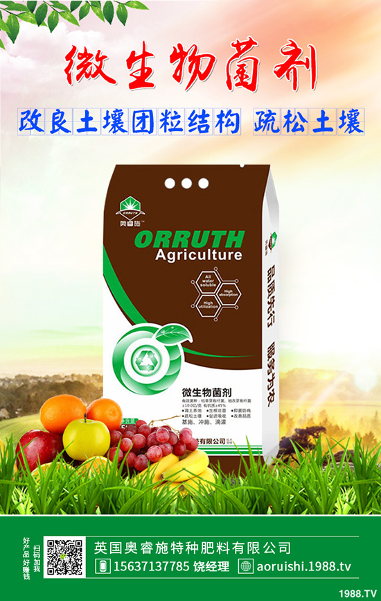 雪菜種植講究技巧，你會嗎？雪菜優(yōu)質(zhì)豐產(chǎn)種植技術(shù)