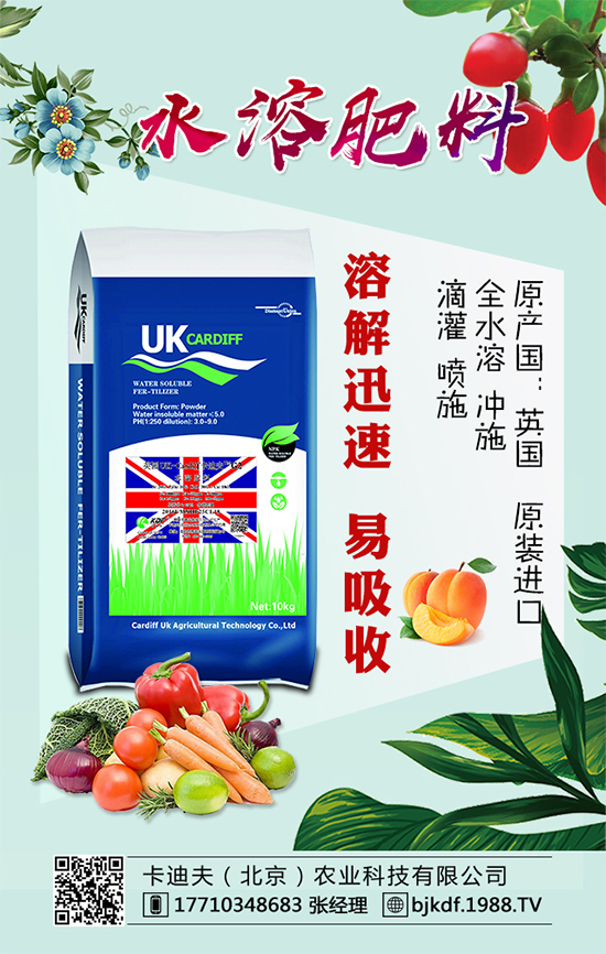 黃花菜要怎么種植？黃花菜對(duì)環(huán)境條件的要求！