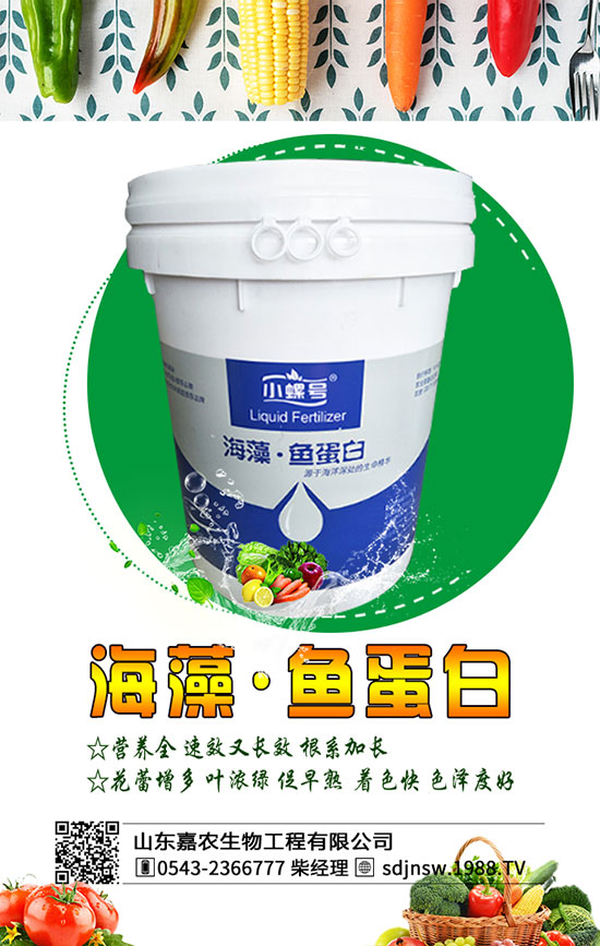 黃花菜什么季節(jié)種植好？2020年黃花菜種植前景及利潤分析！