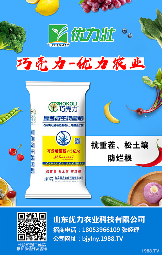 芹菜軟腐病來(lái)襲,到底該如何防治?芹菜軟腐病的危害與防治