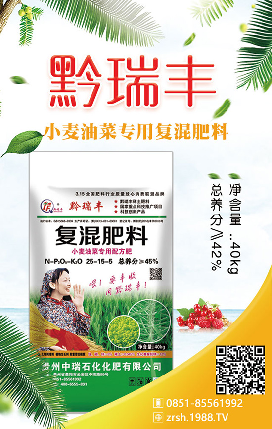 生菜的施肥原則有哪些？其中的作用是什么？
