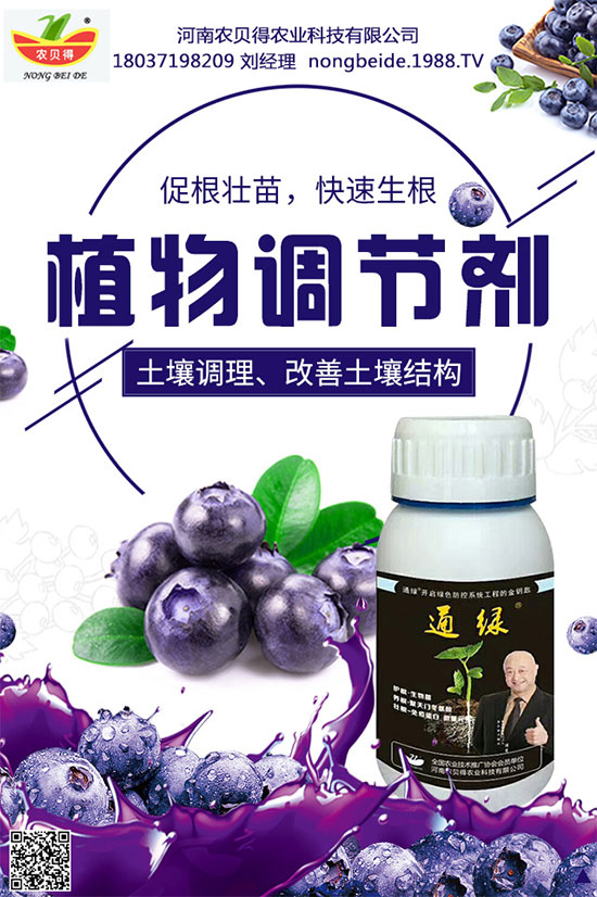 種植生姜施肥要點(diǎn)，生姜施肥用什么肥料？
