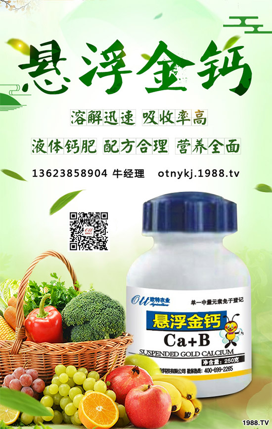 紅藤有哪些神奇功效？紅藤的功效作用及禁忌人群