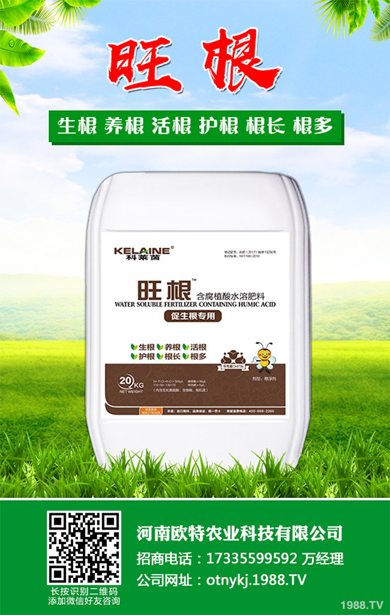 紅藤有哪些神奇功效？紅藤的功效作用及禁忌人群