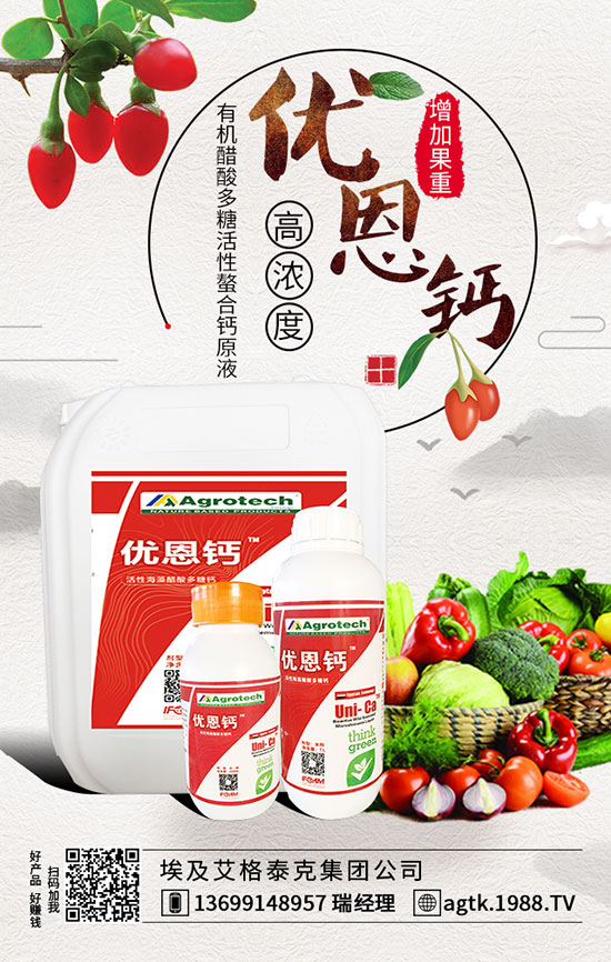 芹菜種植注意事項(xiàng) 芹菜種植