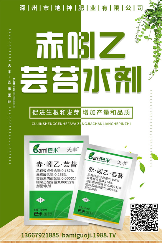 紅薯的營(yíng)養(yǎng)價(jià)值有哪些,紅薯的功效作用與使用禁忌!