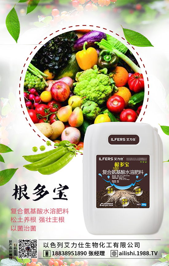 扁豆什么時(shí)間種植？扁豆高產(chǎn)栽培技術(shù)！