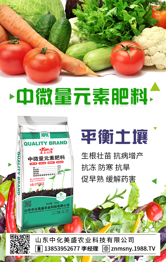 扁豆的營(yíng)養(yǎng)成分，扁豆的食用禁忌！