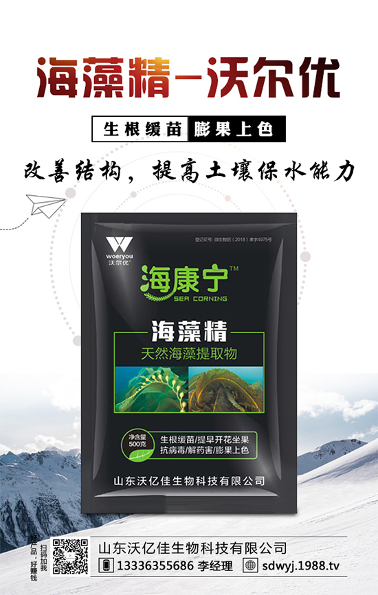 露地辣椒什么時候種植？露地辣椒高產(chǎn)種植技術(shù)