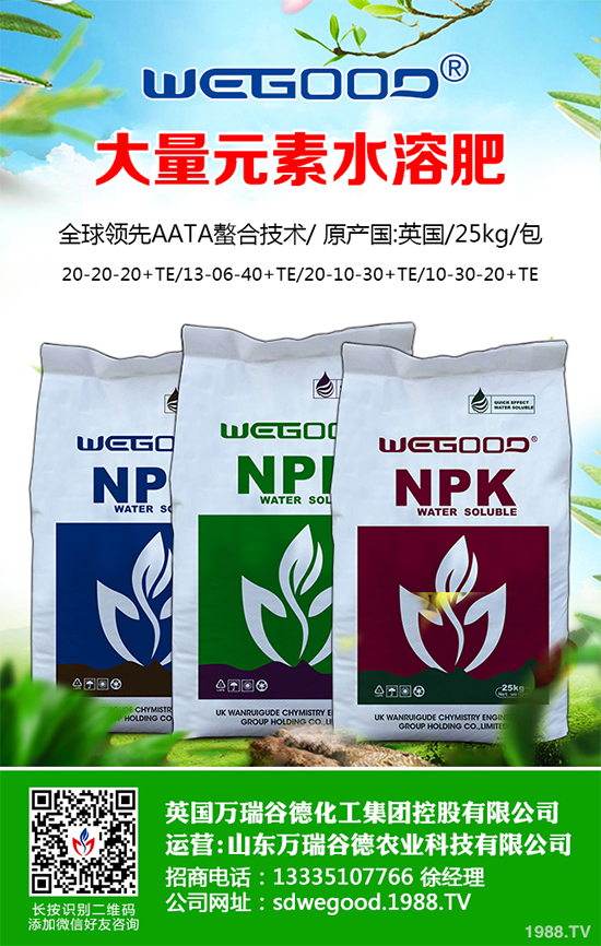 露地辣椒什么時候種植？露地辣椒高產(chǎn)種植技術(shù)