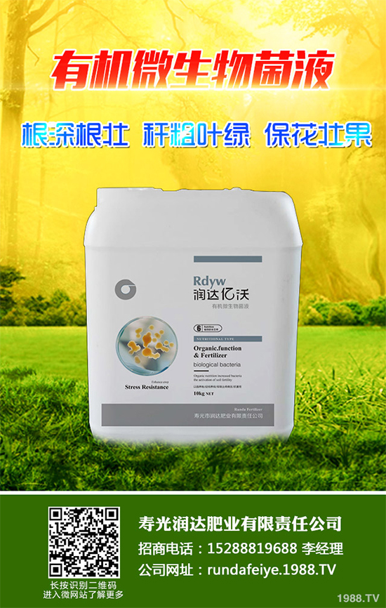 露地辣椒該如何施肥？露地辣椒高產(chǎn)施肥技術(shù)