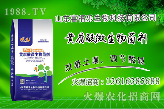 花生價(jià)格穩(wěn)中偏強(qiáng)!2020年10月14日花生價(jià)格行情分析