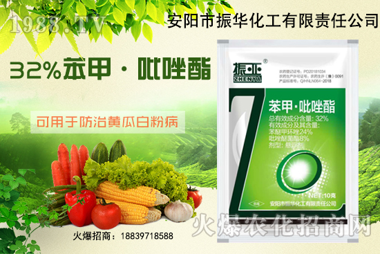 大棚黃瓜白粉病什么藥有用？發(fā)病條件如何避免？