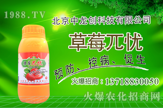 果樹下適合種植什么中藥材？果園里能套種哪些中藥材？