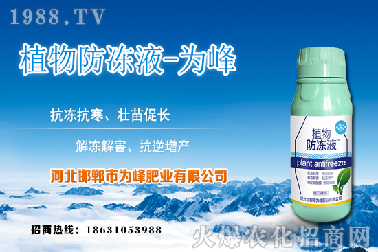 蘆薈的生長規(guī)律有哪些？蘆薈種植方法及種植注意事項(xiàng)！