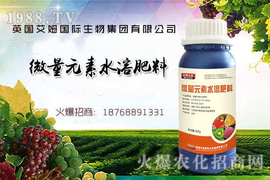 鐵、鋅、硼缺失癥狀，怎么補(bǔ)充作物所需元素？