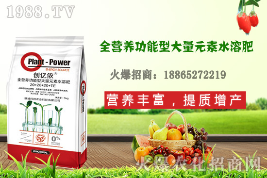 大蒜該怎么施肥，大蒜施肥方法及注意事項！