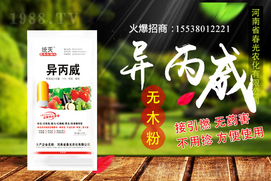 蒜苗種植前景及怎么樣？蒜苗種植要點(diǎn)及田間管理！