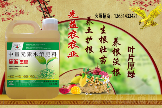 С���r(ji��)������Xһ��������С���r(ji��)��������