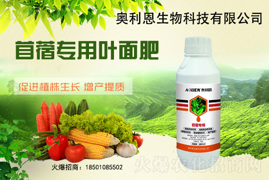 苜蓿越冬肥怎么施？苜蓿的施肥管理